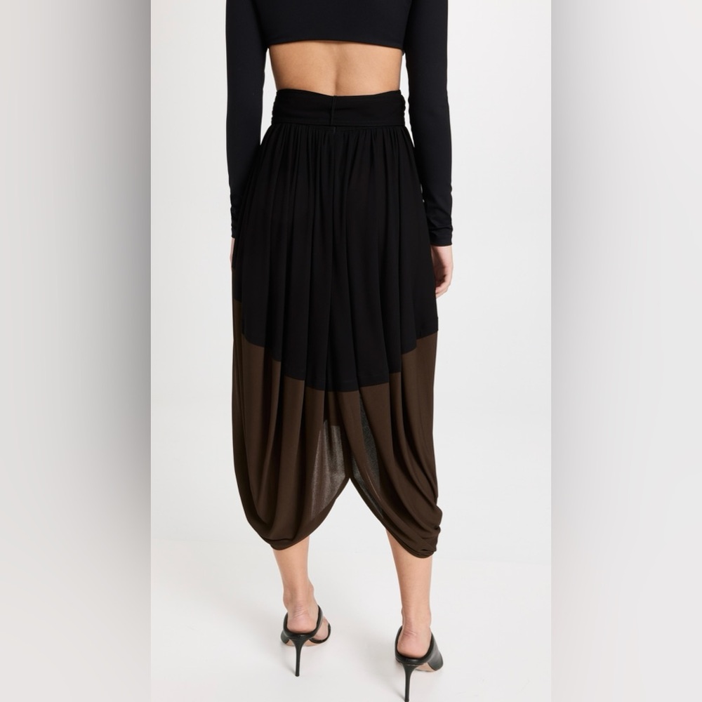 Proenza Schouler Gathered two-tone voile midi skirt - Picture 5 of 9